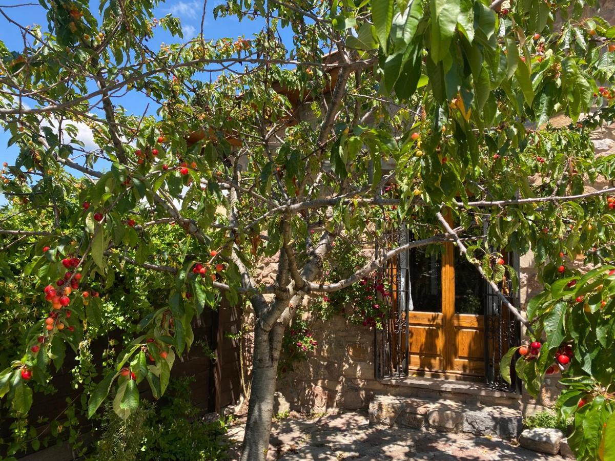 Era De Trespui En Pirineos Villa Peramea Ngoại thất bức ảnh